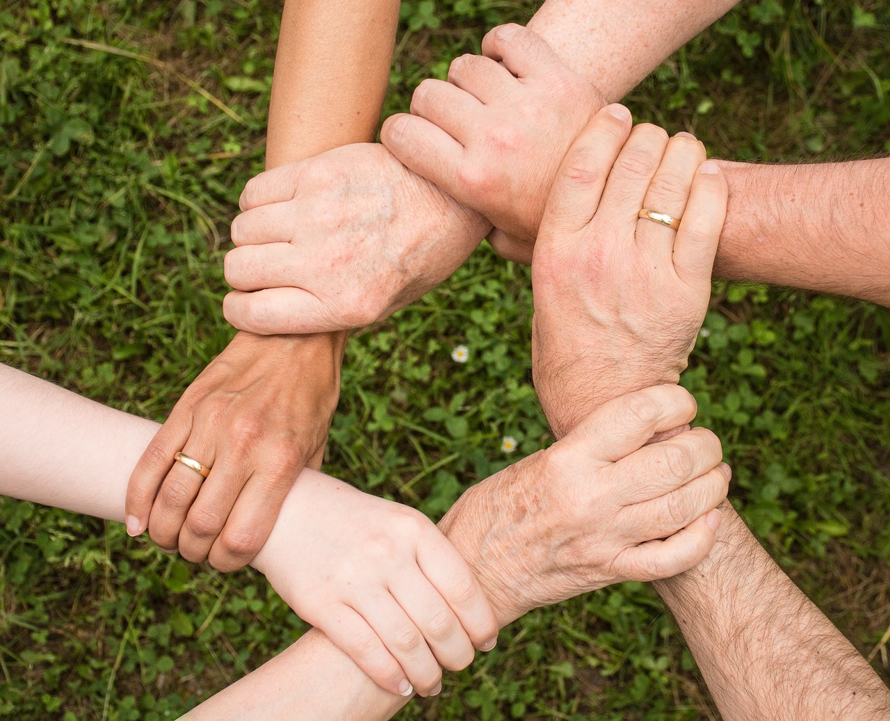 Foto de personas tomadas de la mano que explican Cómo hacer una Constelación Familiar universidad carl rogers