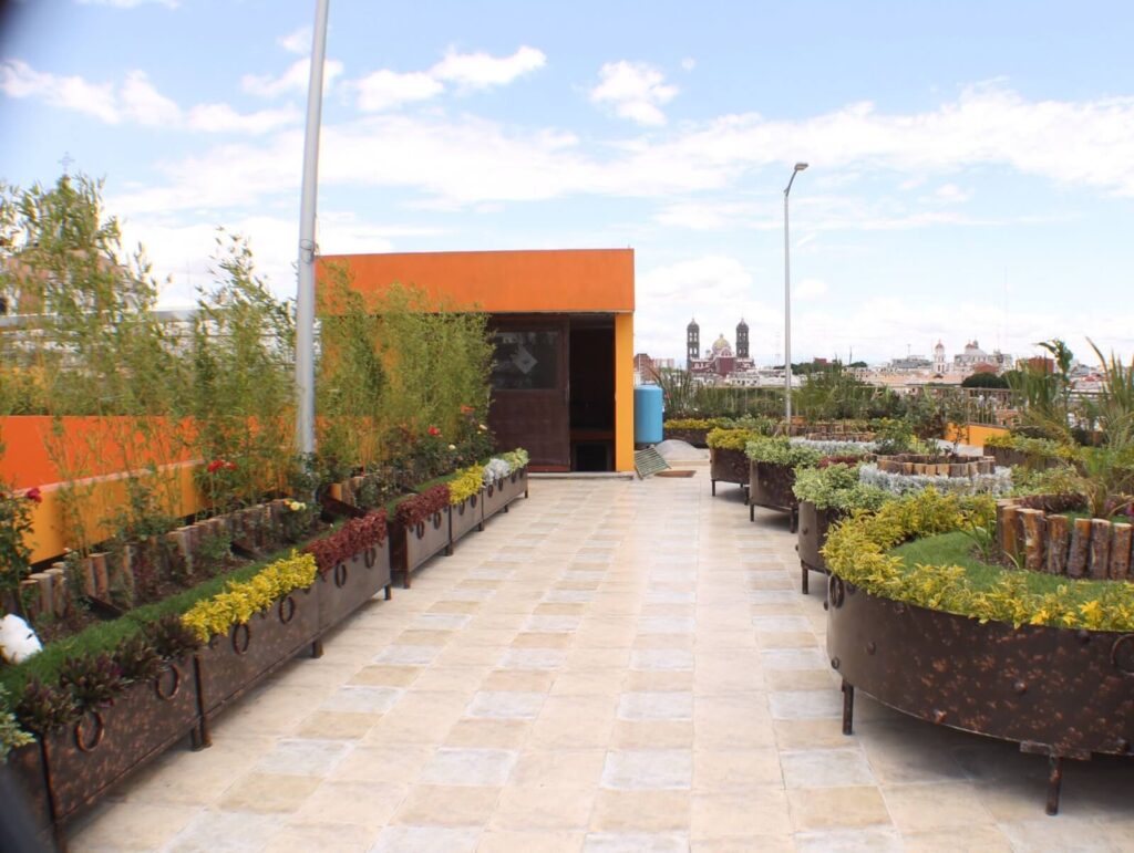 terraza de bachillerato Carl Rogers